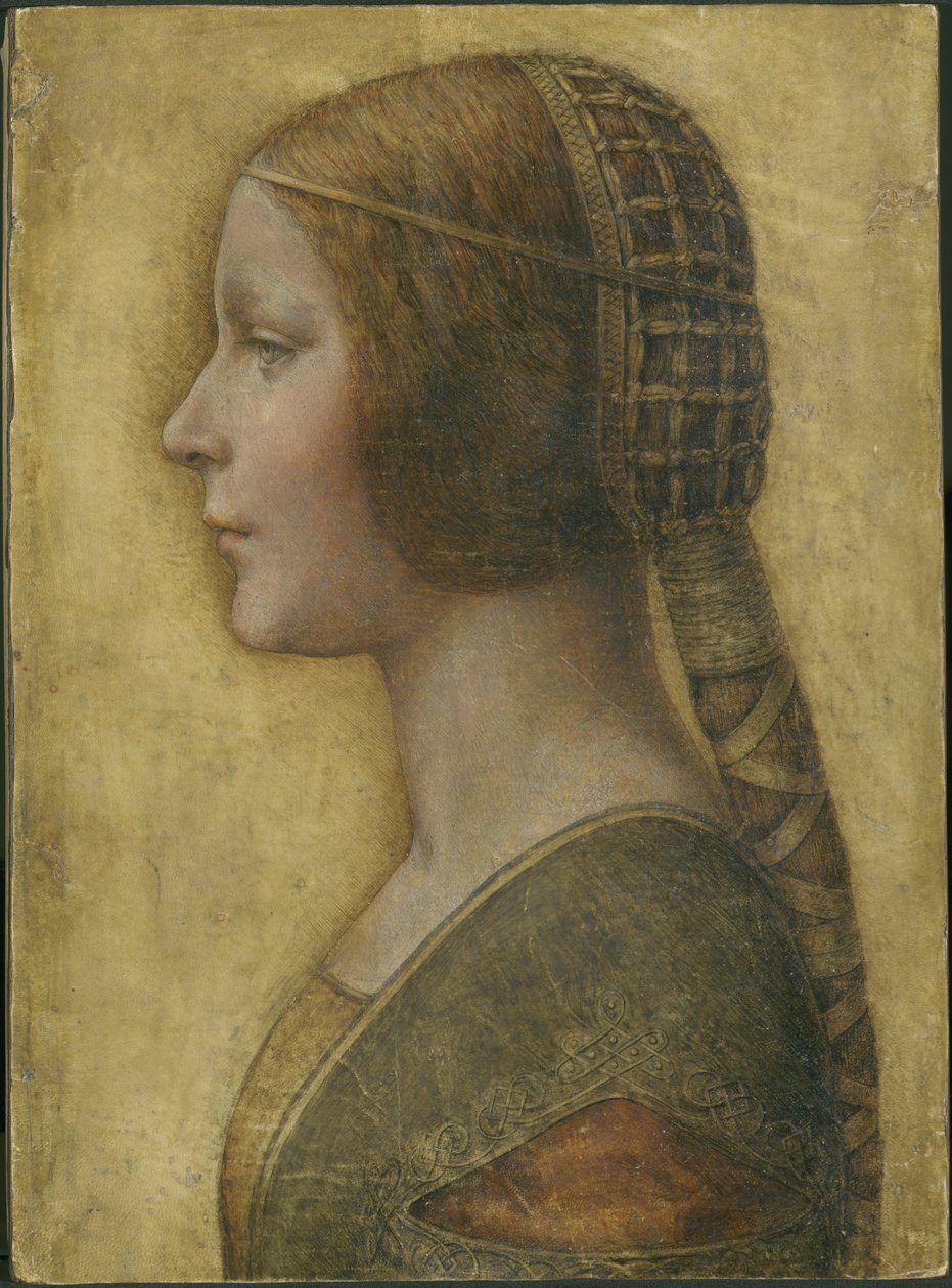 Bella principessa door Leonardo da Vinci