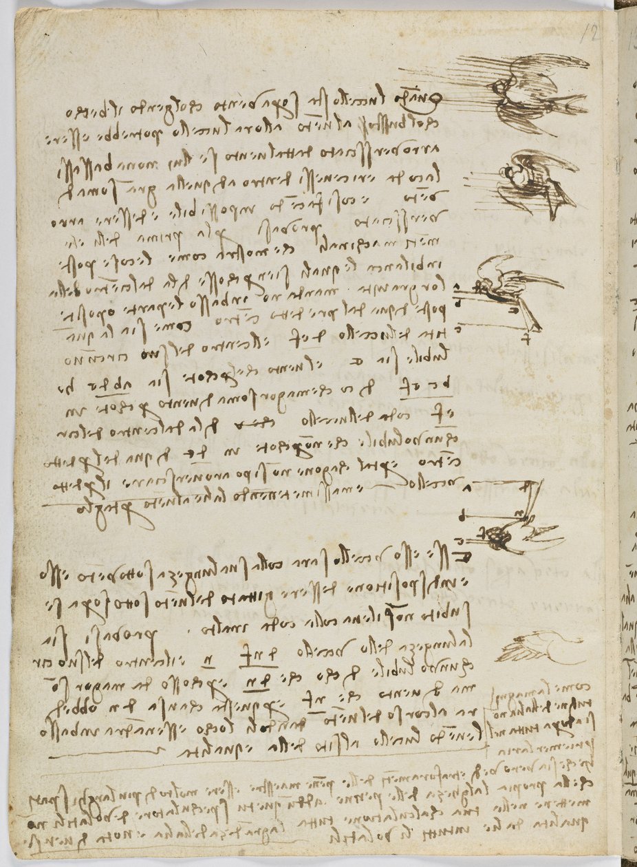 Vogelvluchtcode, c. 1505-06, blad 8 verso door Leonardo da Vinci