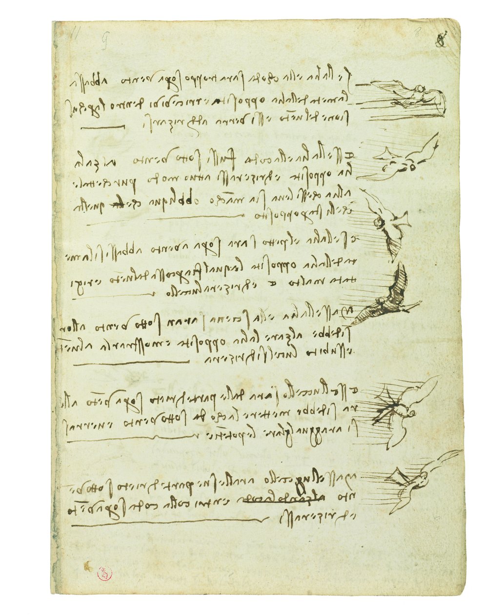 Codex over de vlucht van vogels, Folio 8 recto door Leonardo da Vinci