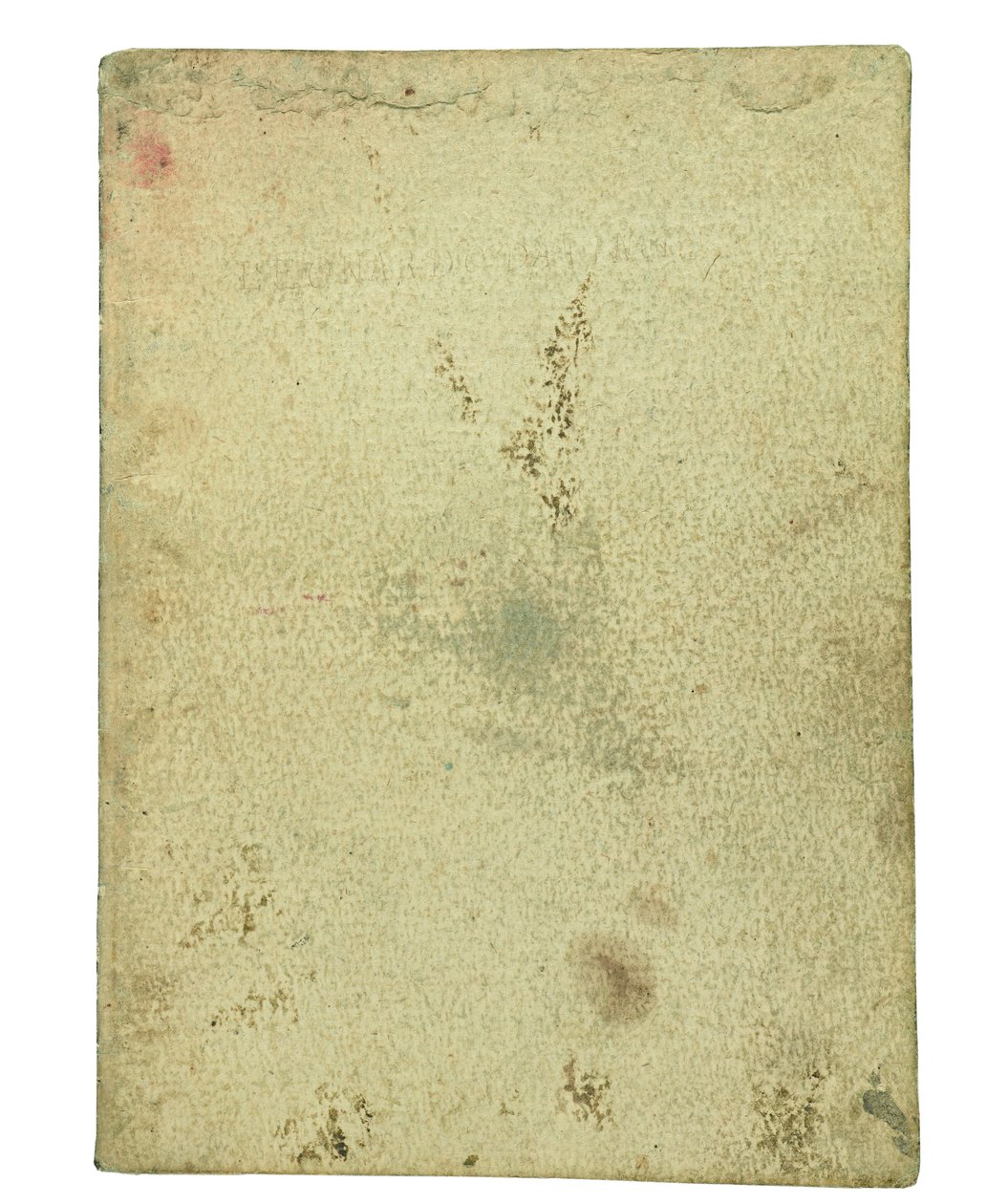 Codex over de vlucht van vogels, schutblad I door Leonardo da Vinci