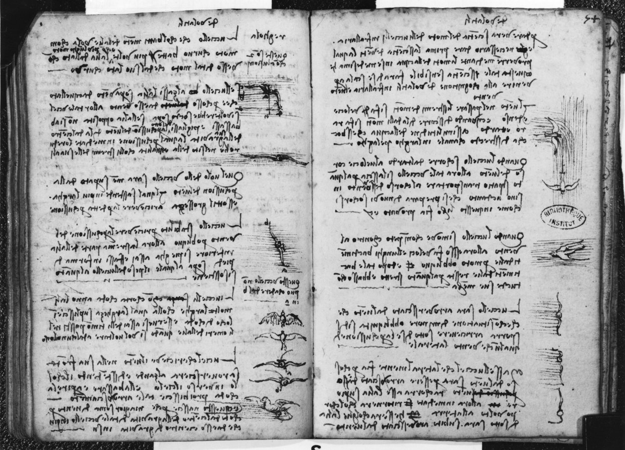 Parijs Manuscript E, fol. 53v en 54r: Schets die de vlucht van vogels uitbeeldt, 1513-14 door Leonardo da Vinci