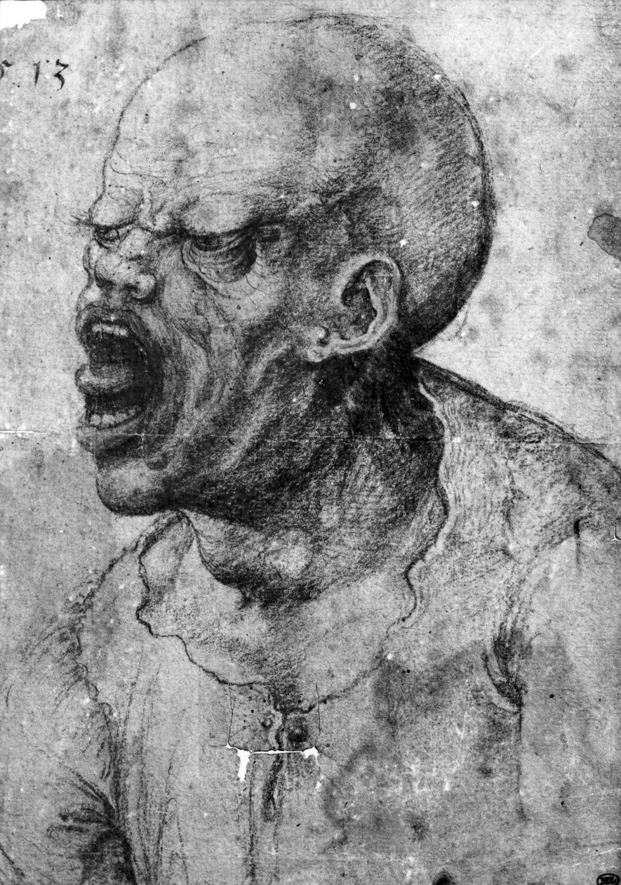 Portret van een man die schreeuwt (houtskool op papier) door Leonardo da Vinci