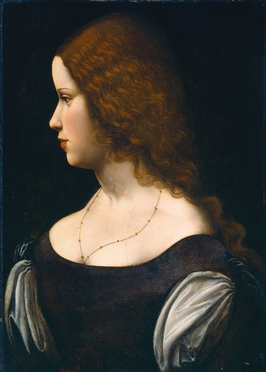 Portret van een jonge dame door Leonardo da Vinci