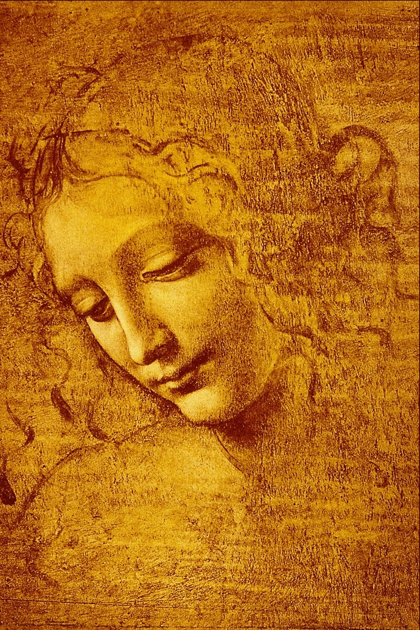 Testa di Fanciulla detta La... door Leonardo da Vinci