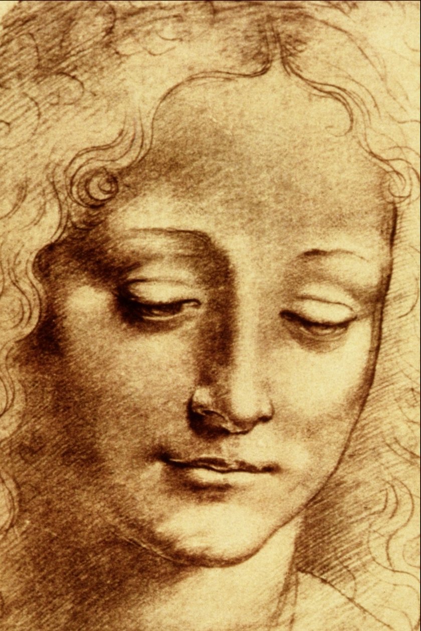 Teste di Giovinetta door Leonardo da Vinci