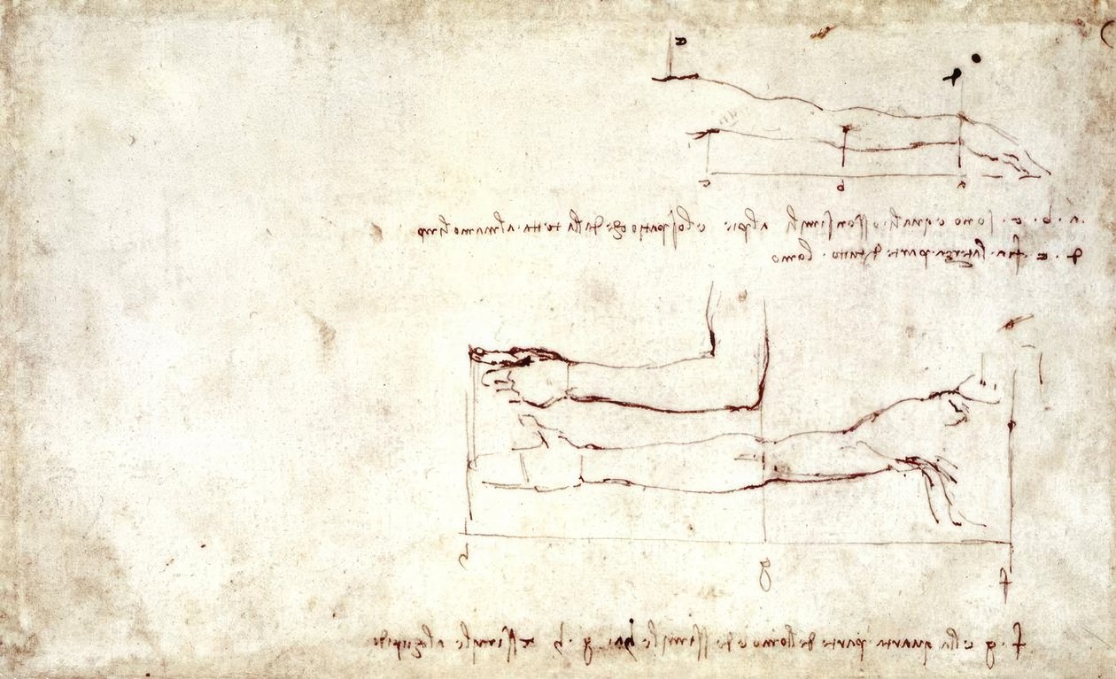 Arm door Leonardo da Vinci