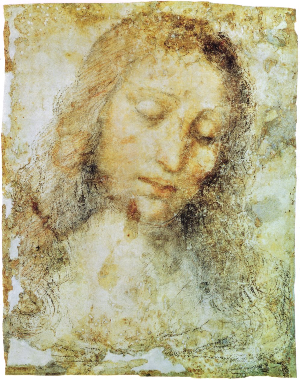Pinacoteca di Brera door Leonardo da Vinci