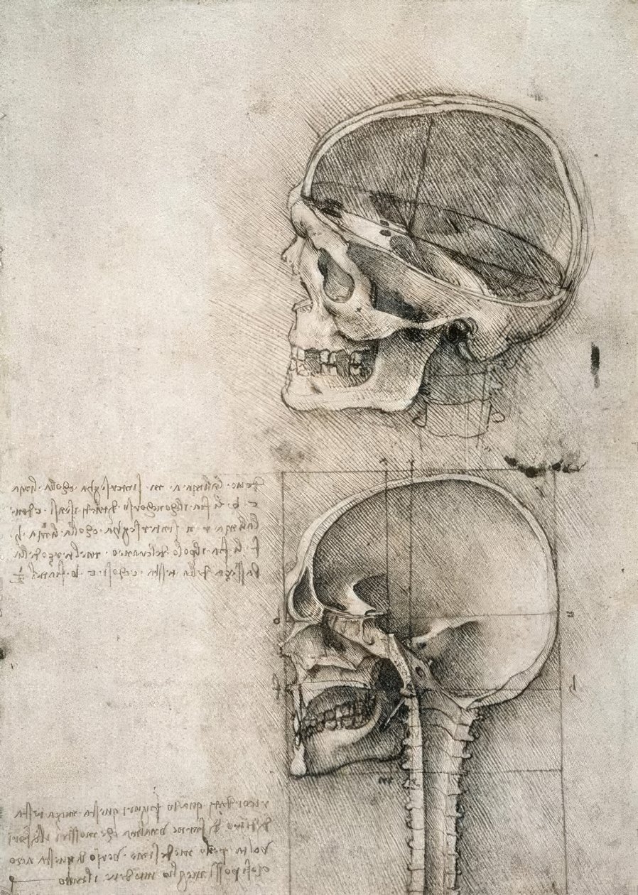 Senso commune door Leonardo da Vinci