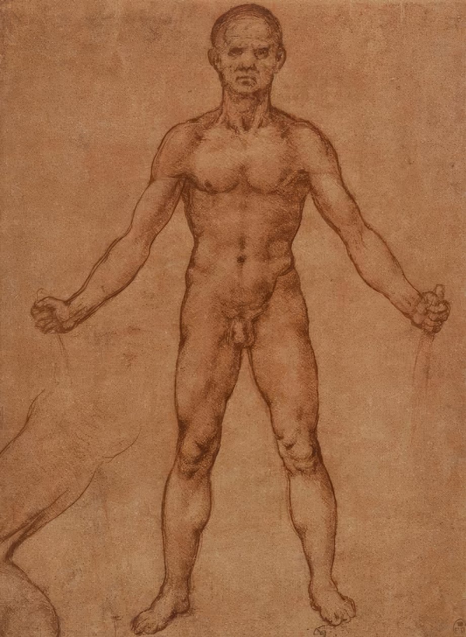 Naaktstudie van een staande man, frontaal door Leonardo da Vinci