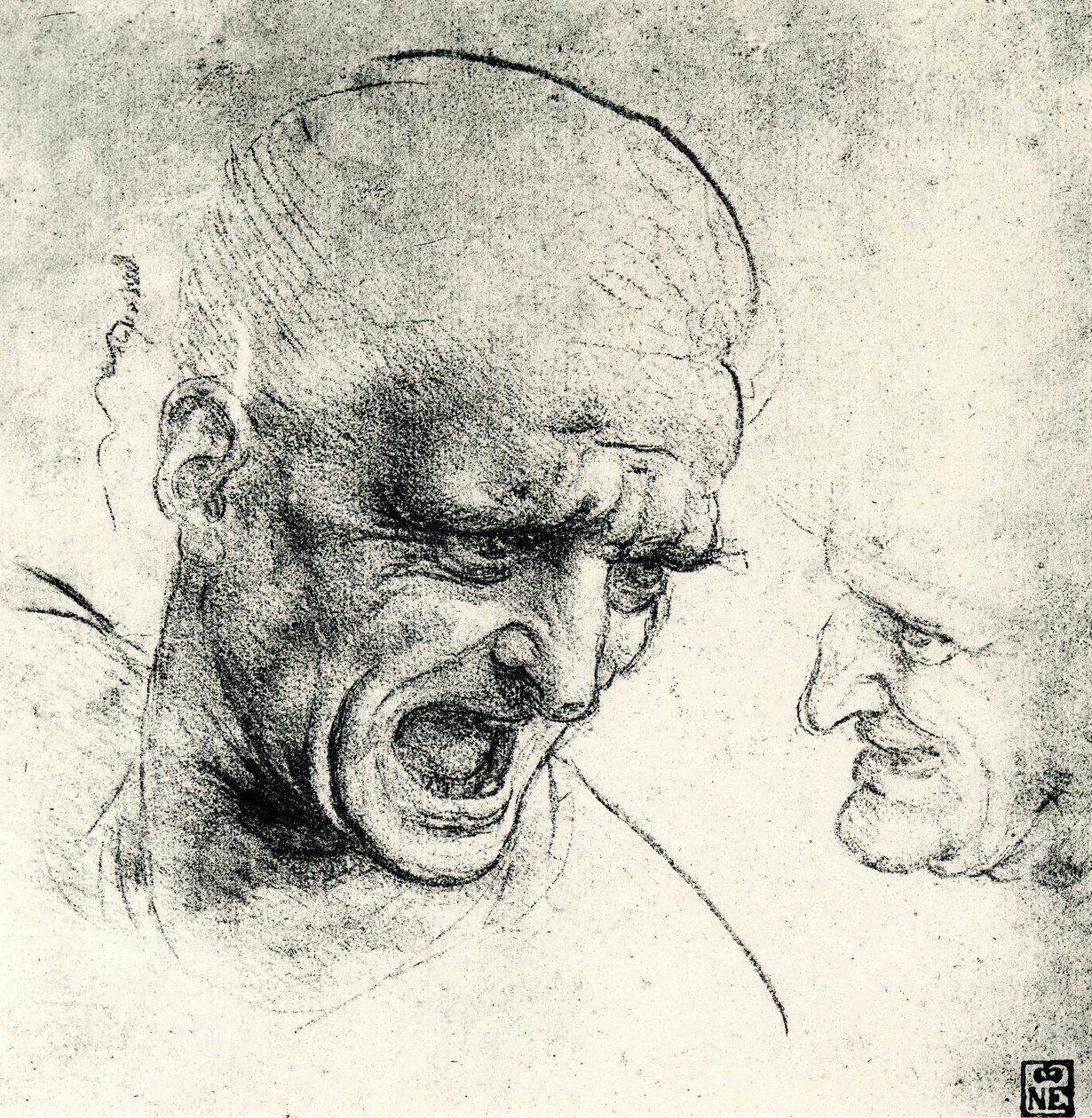 Hoofdstudies door Leonardo da Vinci