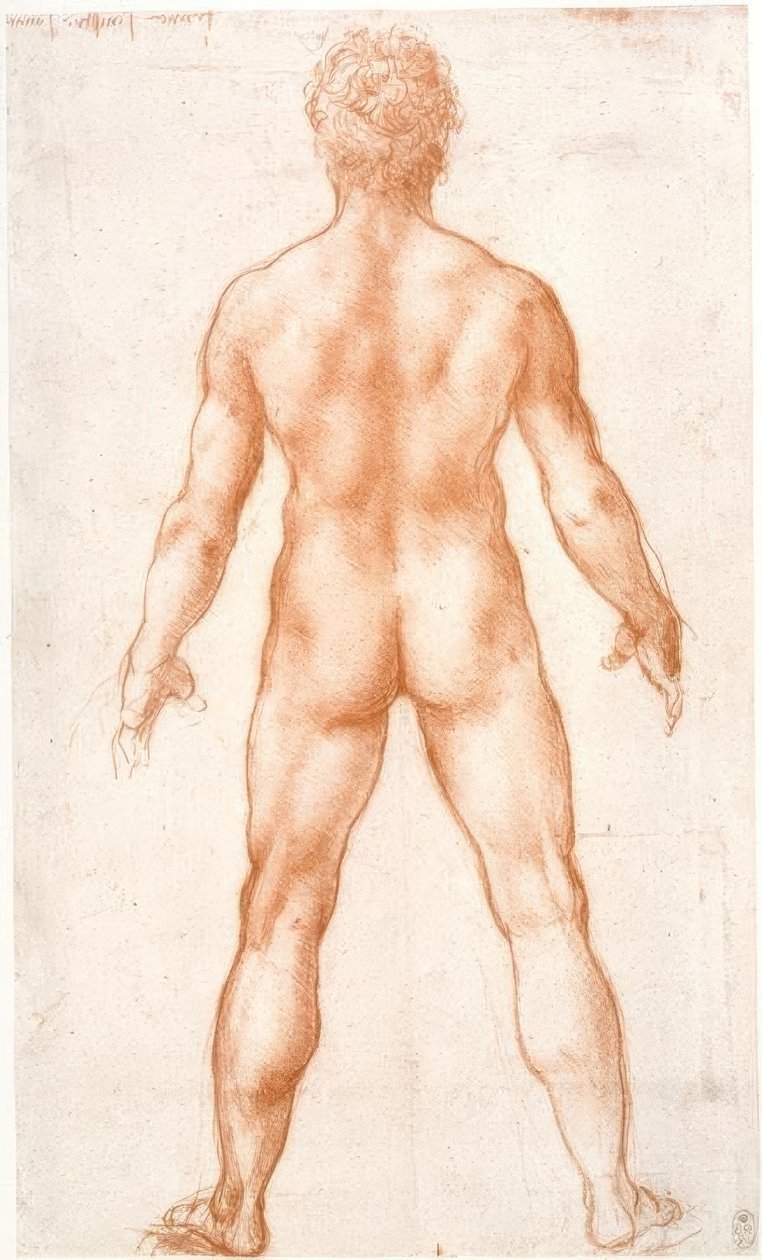 Mannelijk naakt van achteren door Leonardo da Vinci
