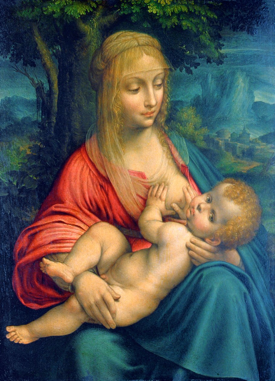 De Maagd en het Kind door Leonardo da Vinci