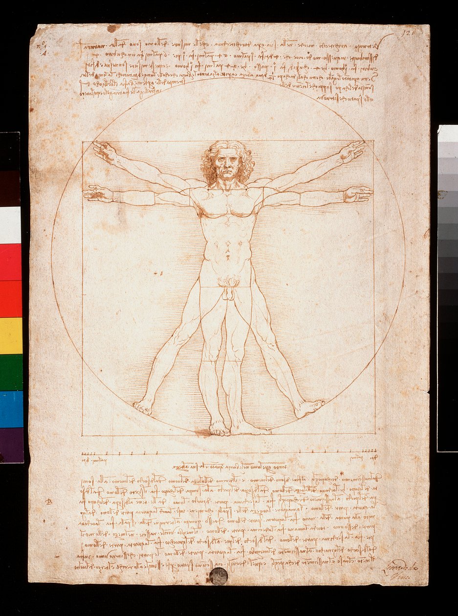 Vitruviusman door Leonardo da Vinci
