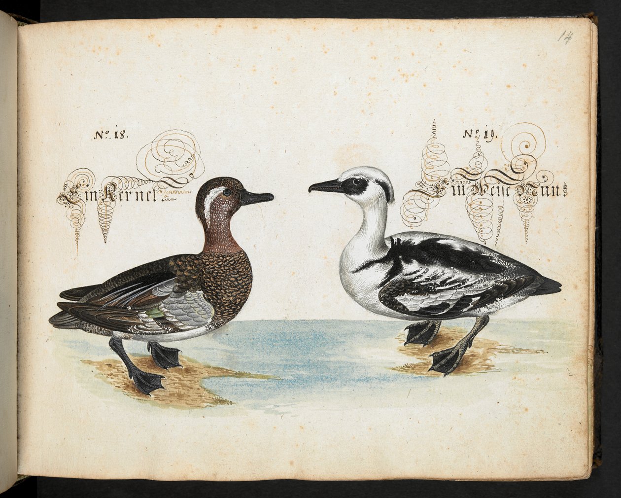Add MS 6485 door Leonhard Baldner