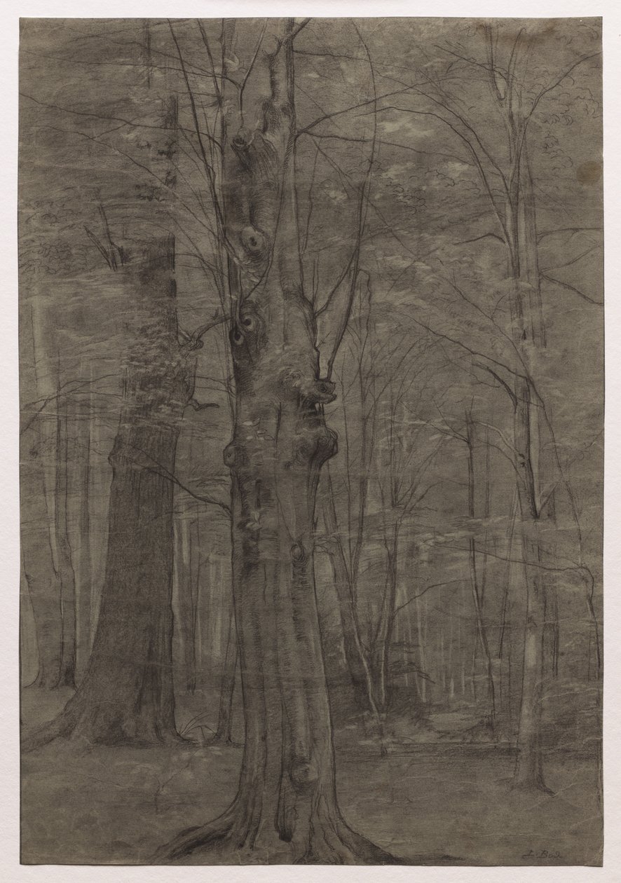 Bomen door Leopold Bode