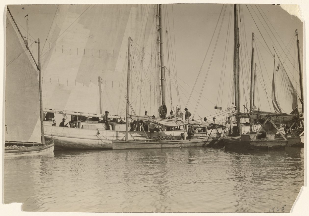 [Oesterboten, Mobile Bay, Alabama]. door Lewis W. Hine