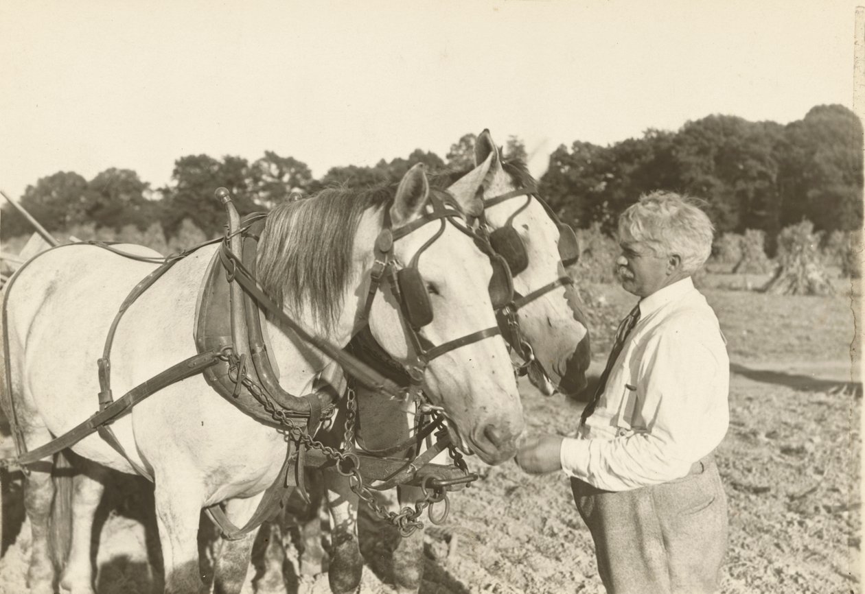 Zonder titel, ca. 1935 door Lewis Wickes Hine