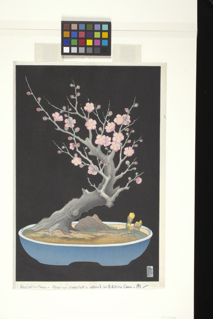 Japanse dwergpruim door Lilian May Miller