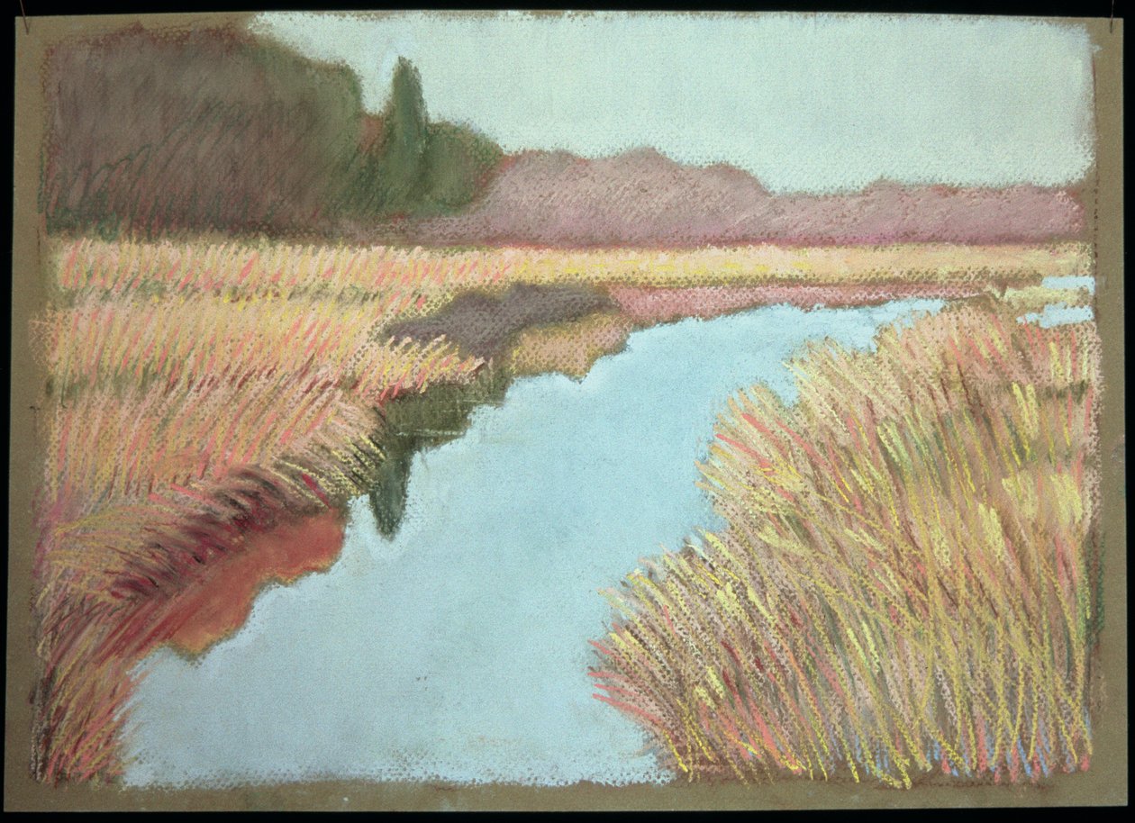 Volle vloed, 1990 door Lillian Delevoryas