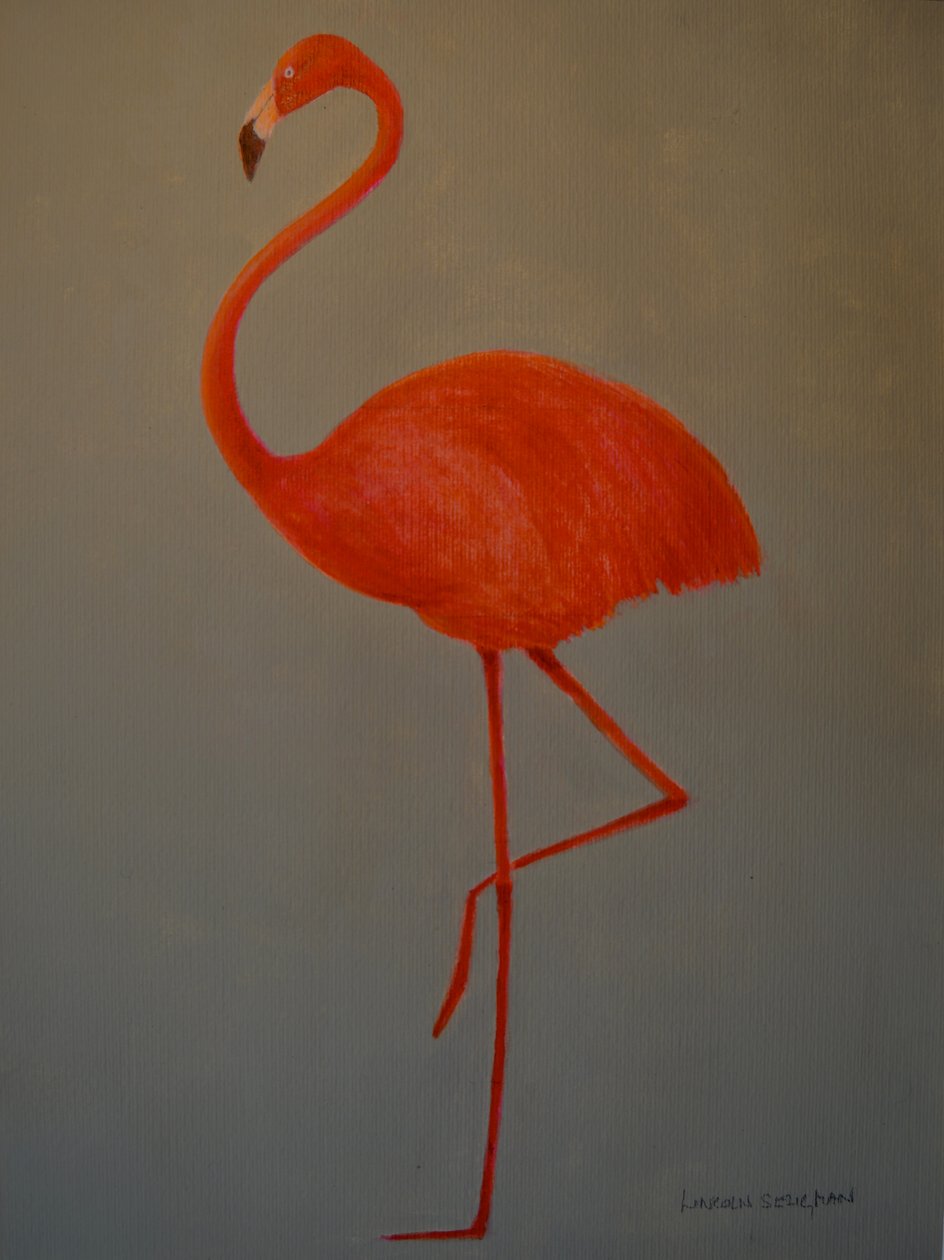 Flamingo door Lincoln Seligman