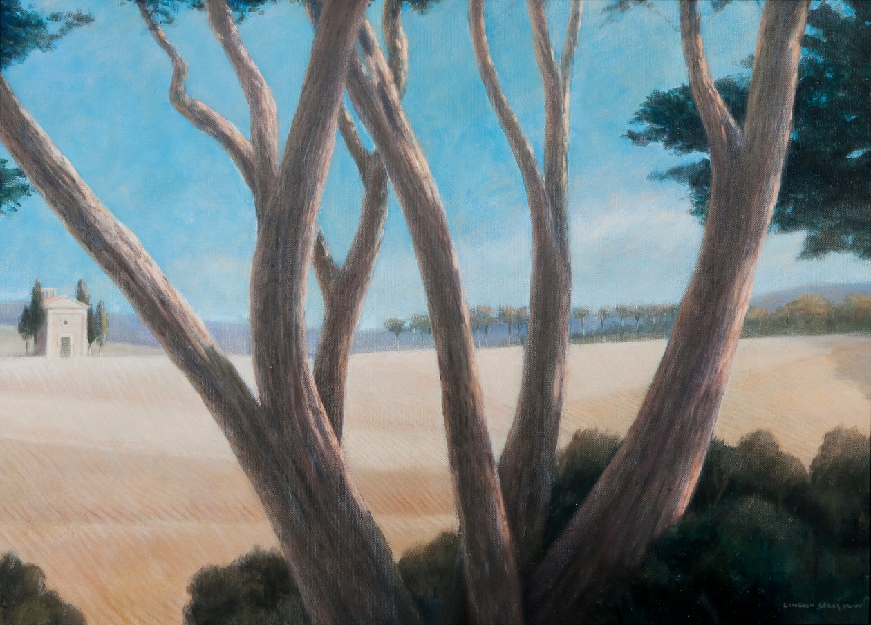 Pijnbomen bij Pienza, 2012 door Lincoln Seligman