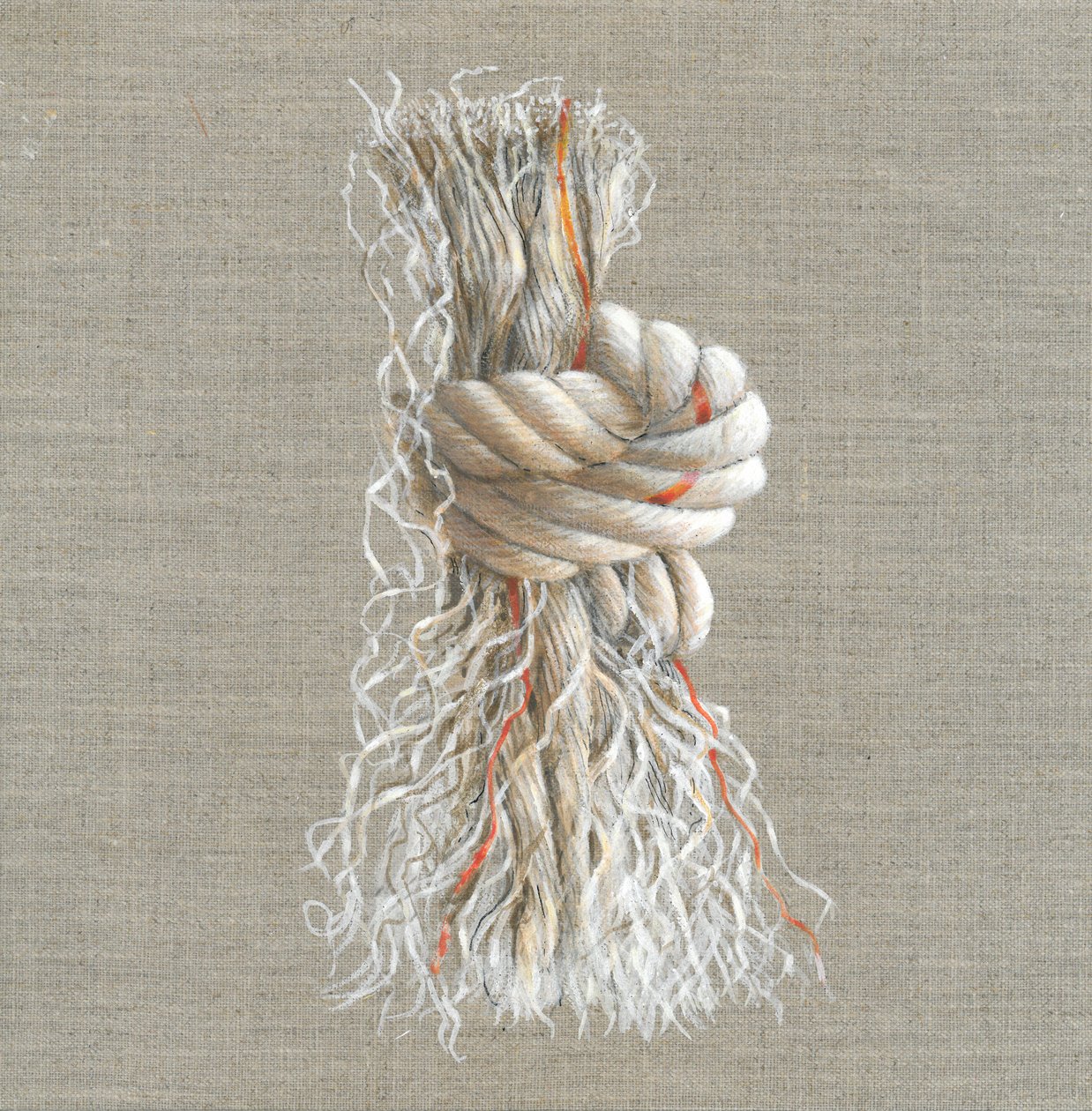 Touwknoop door Lincoln Seligman
