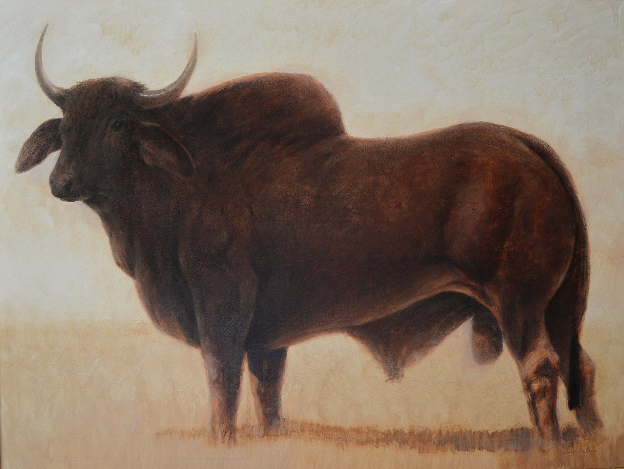 Brahmaanse Stier door Lincoln Seligman