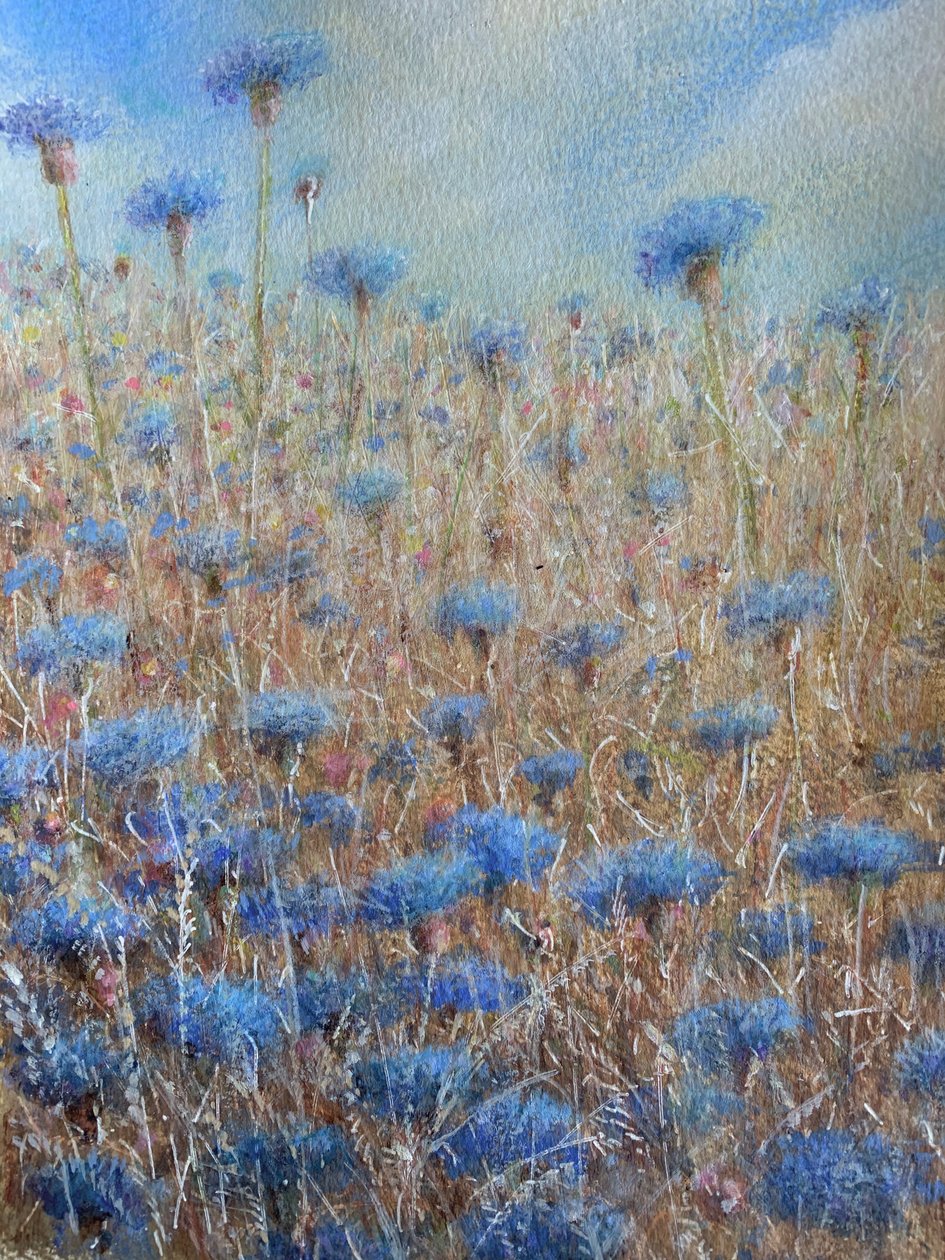 Korenbloemen 3 door Lincoln Seligman