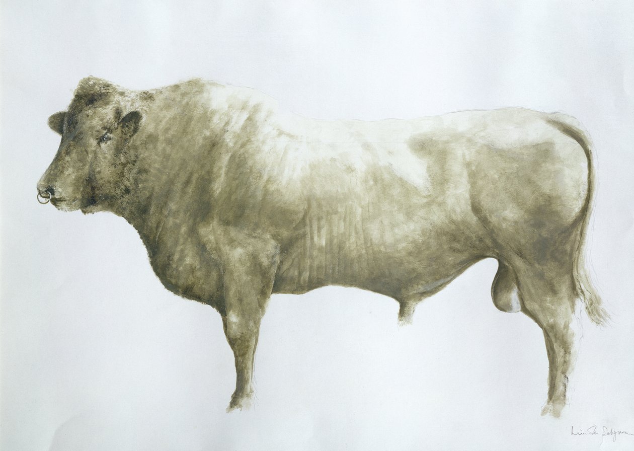 Islay Stier, 2004 door Lincoln Seligman