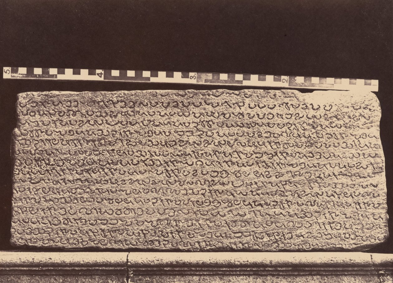 Elliot Knikkers,1859 (foto) door Linnaeus Tripe
