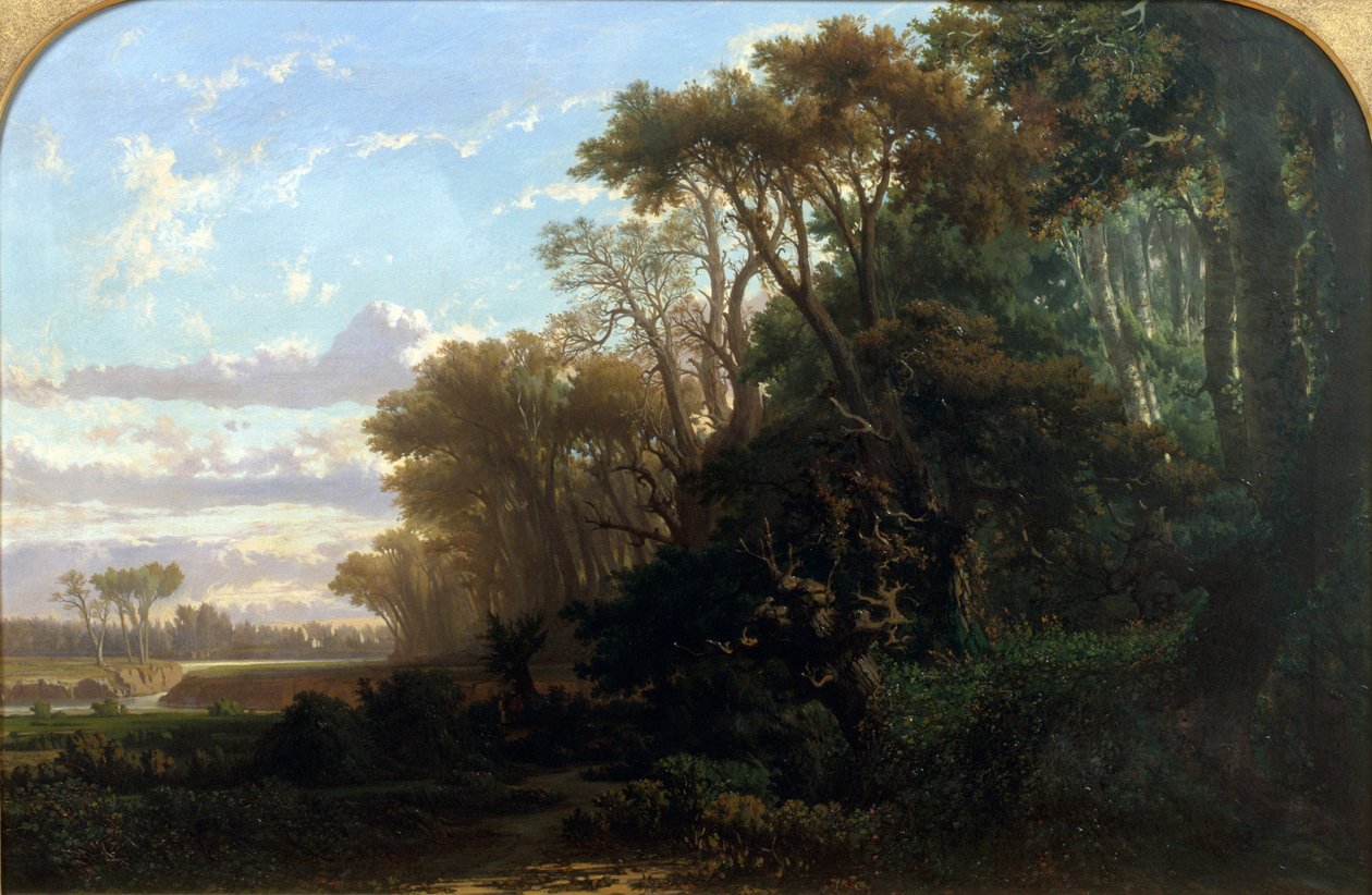 Landschap met bossen door Lluís Rigalt