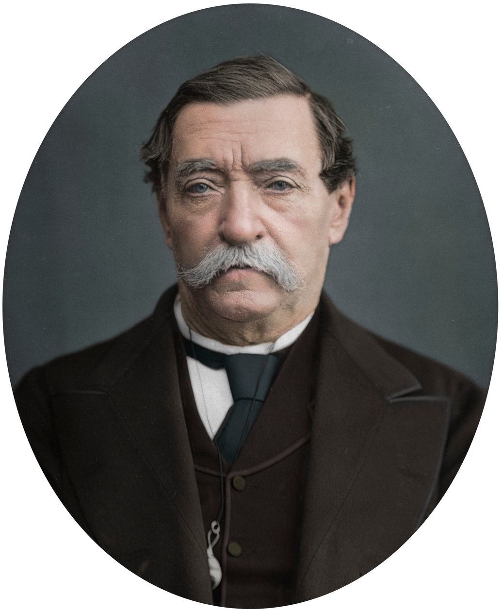 Lord Napier van Magdala, 1878 door Lock and Whitfield