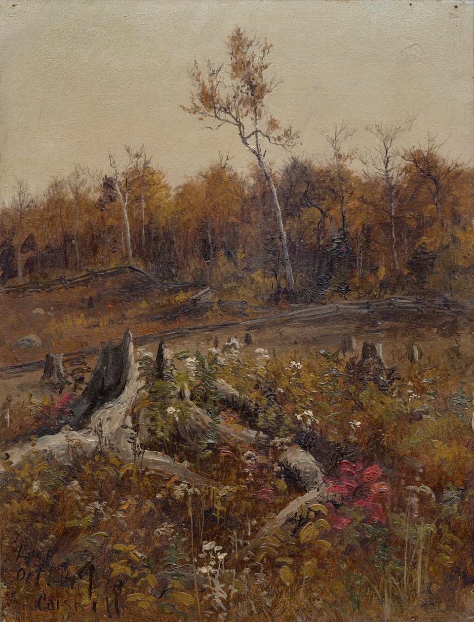 Landschap door Lockwood de Forest