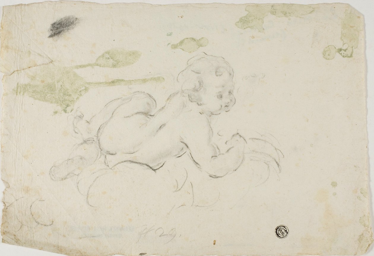 Putto door Lodovico Carracci