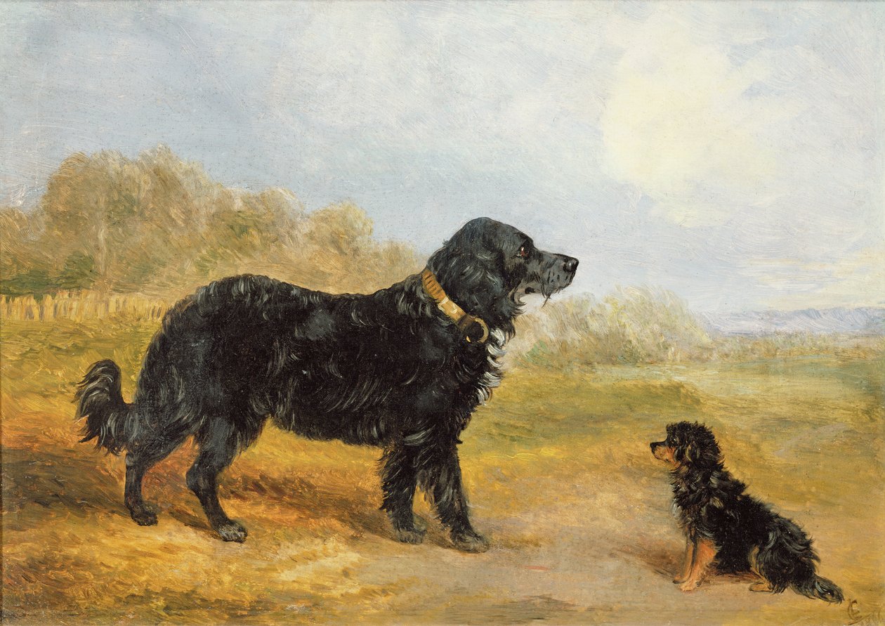 Honden door Loey Campbell