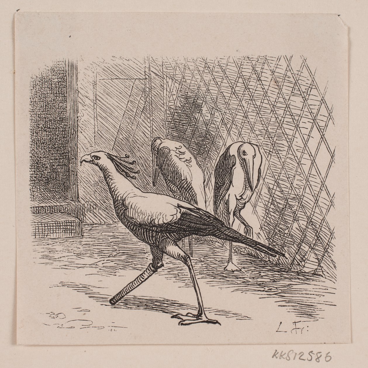 Secretaris in Jardin des Plantes door Lorenz Frølich