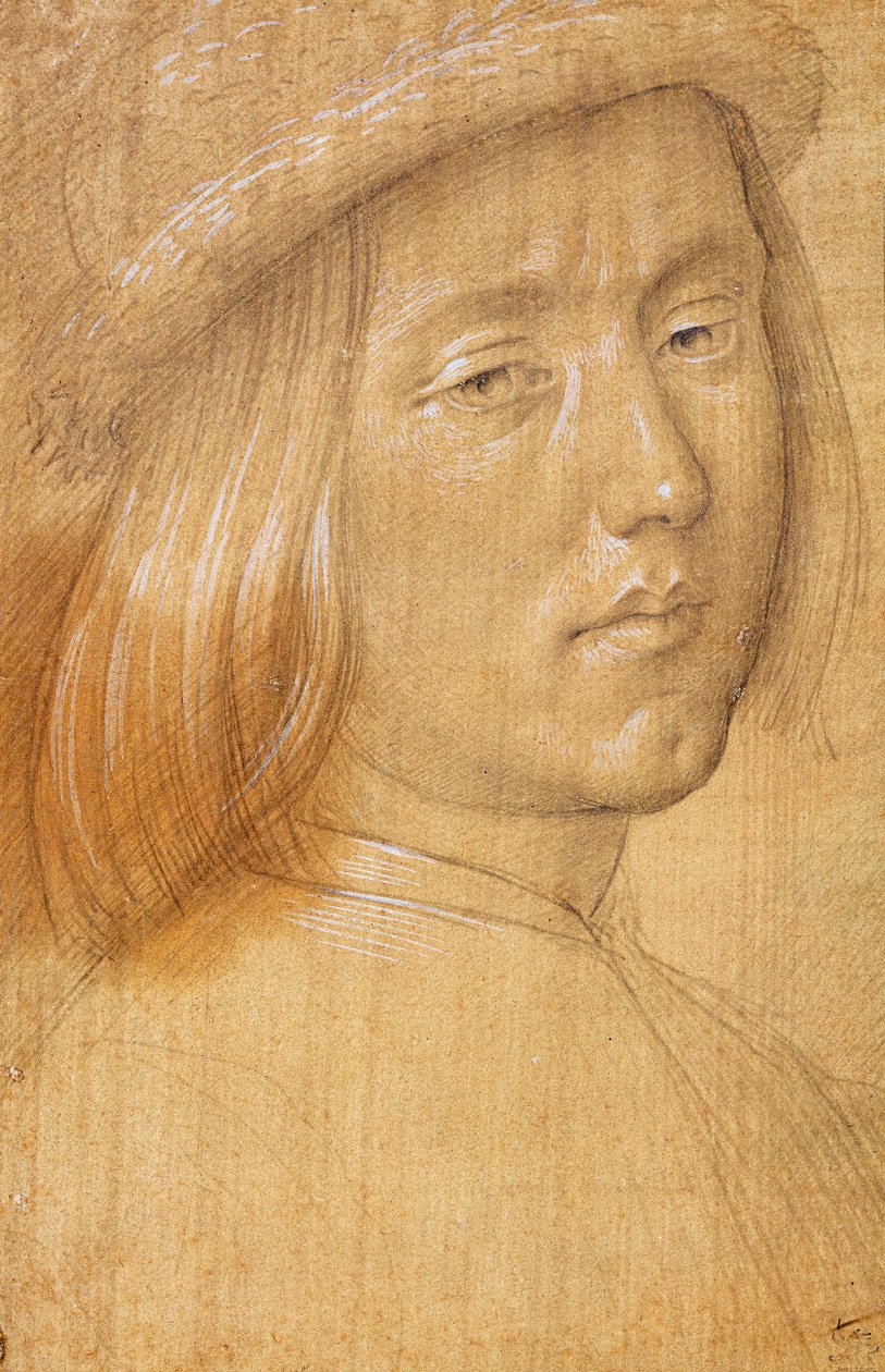Hoofd van een Jongeling door Lorenzo di Credi