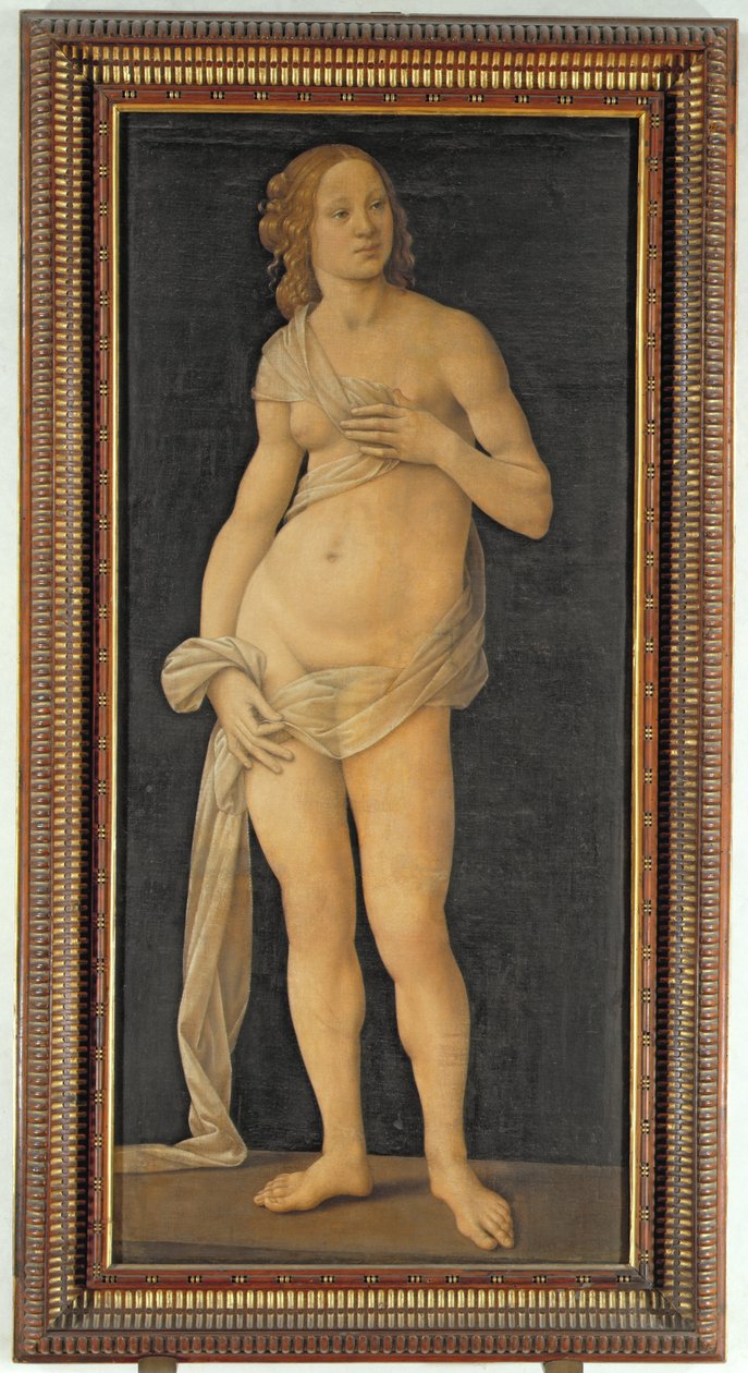 Venus door Lorenzo di Credi