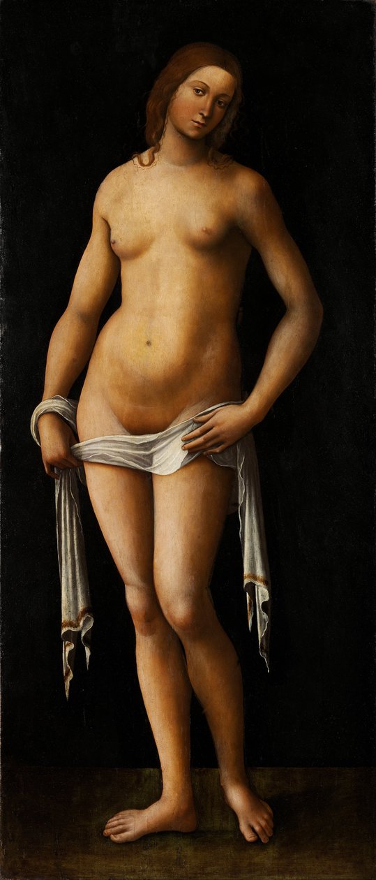 Venus door Lorenzo Costa