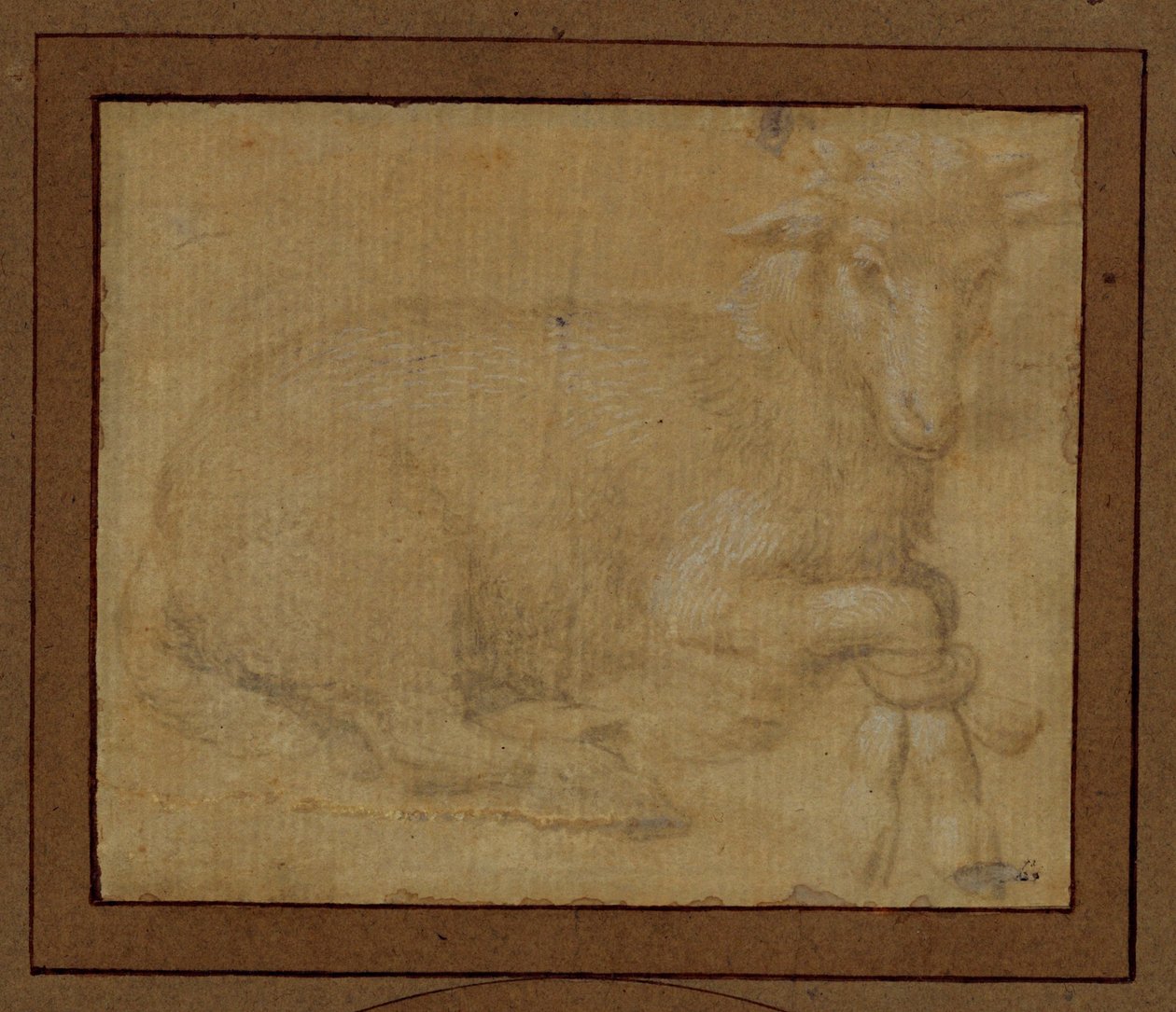 Studie van een lam ... door Lorenzo di Credi
