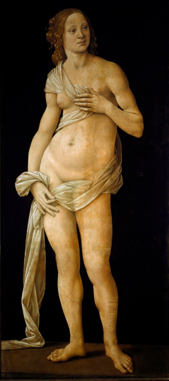 Venus door Lorenzo di Credi