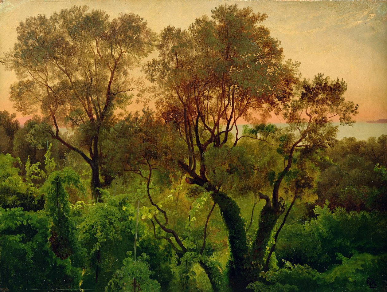 Helling met olijfbomen door Louis Gurlitt