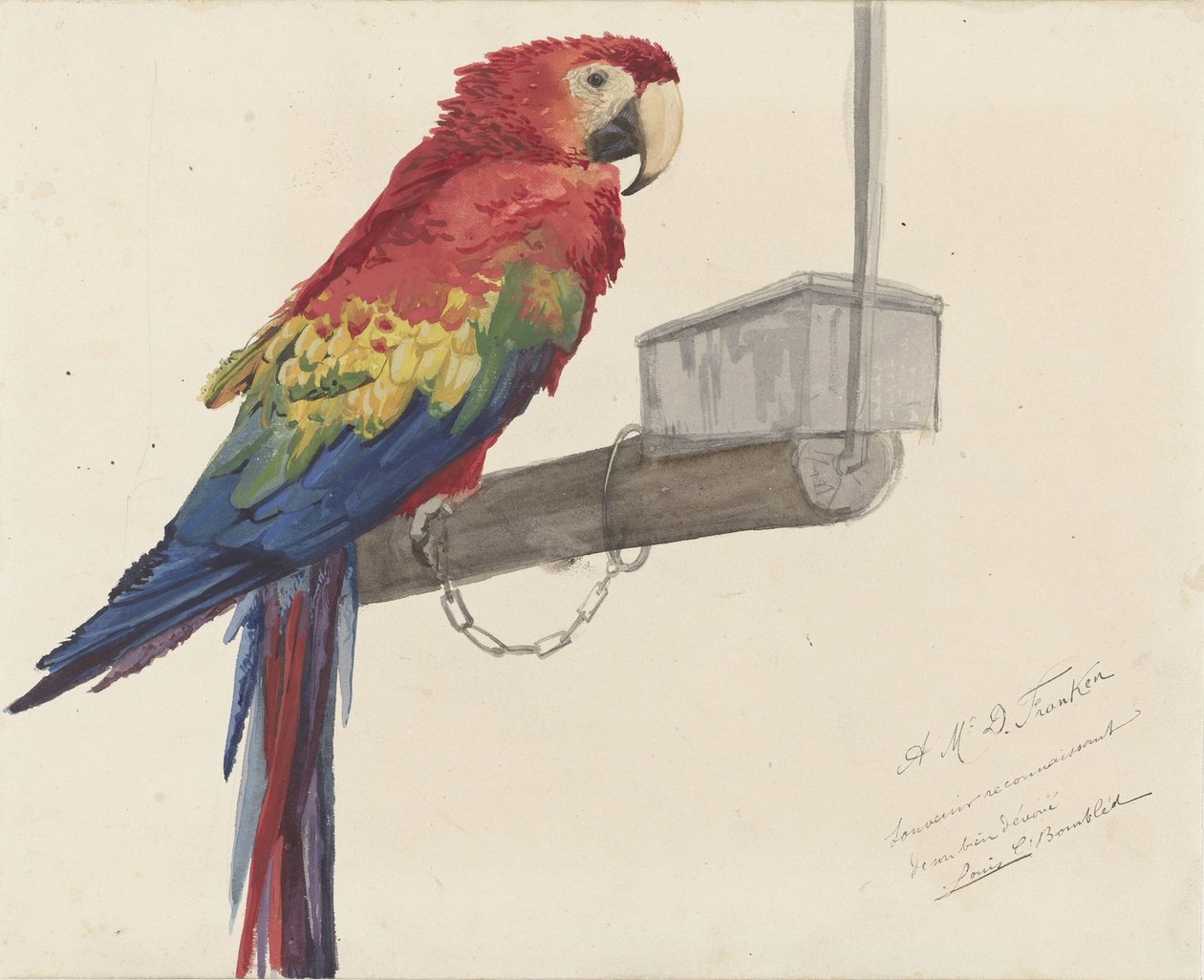Papegaai door Louis Charles Bombled