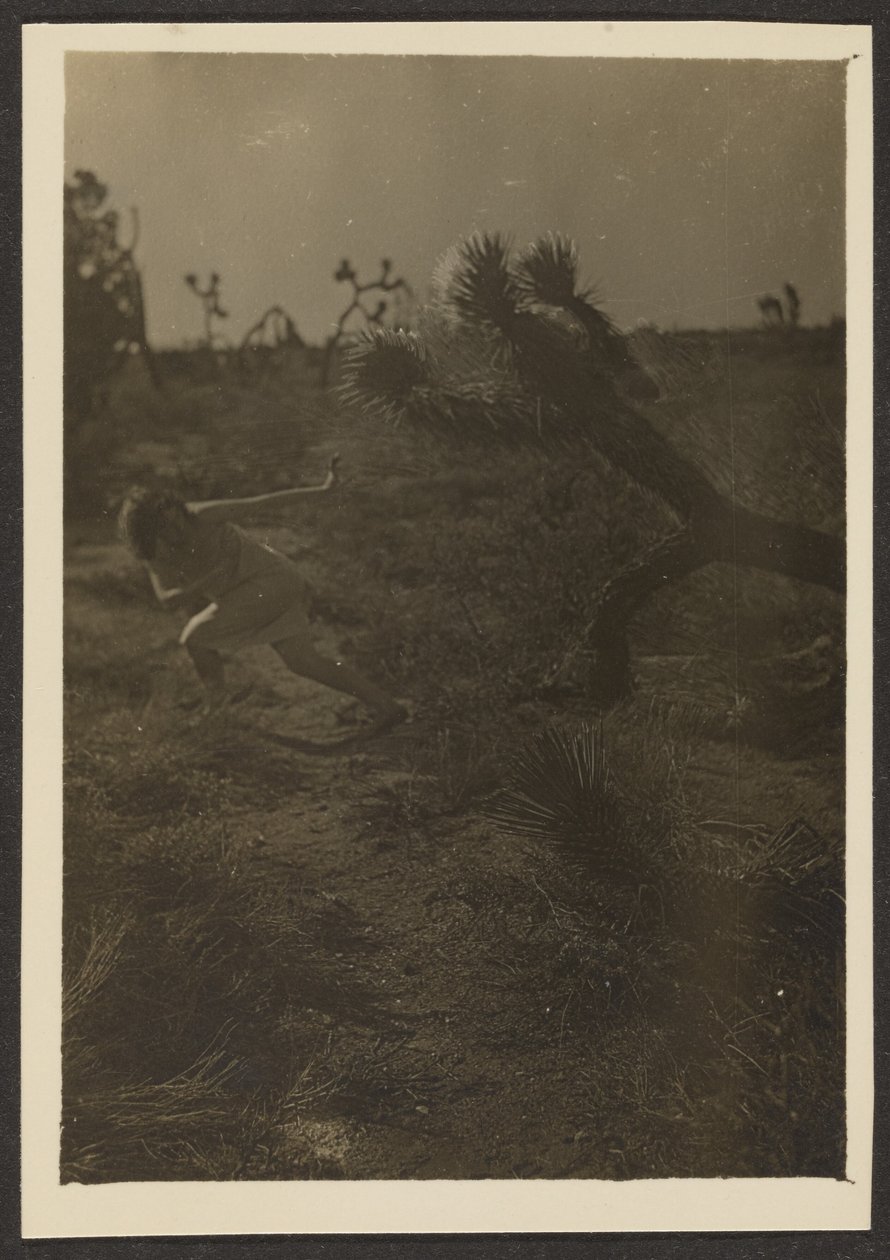[Bogey Man van de Woestijn]. door Louis Fleckenstein