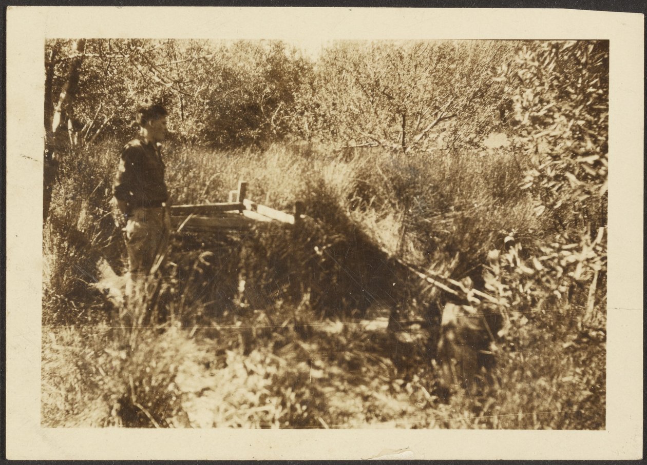 [Figuur Landschap] door Louis Fleckenstein