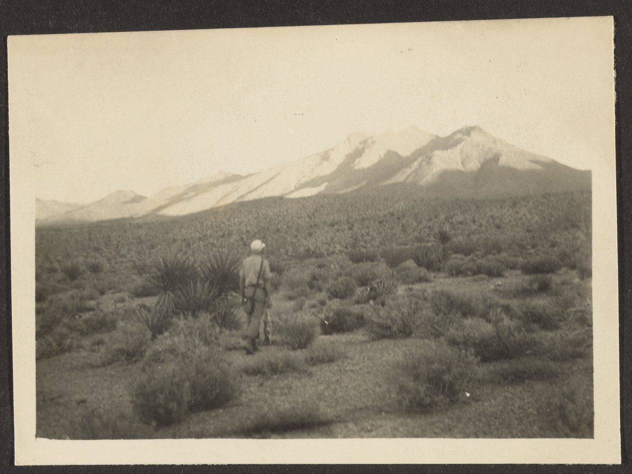 [Figuur in landschap]. door Louis Fleckenstein