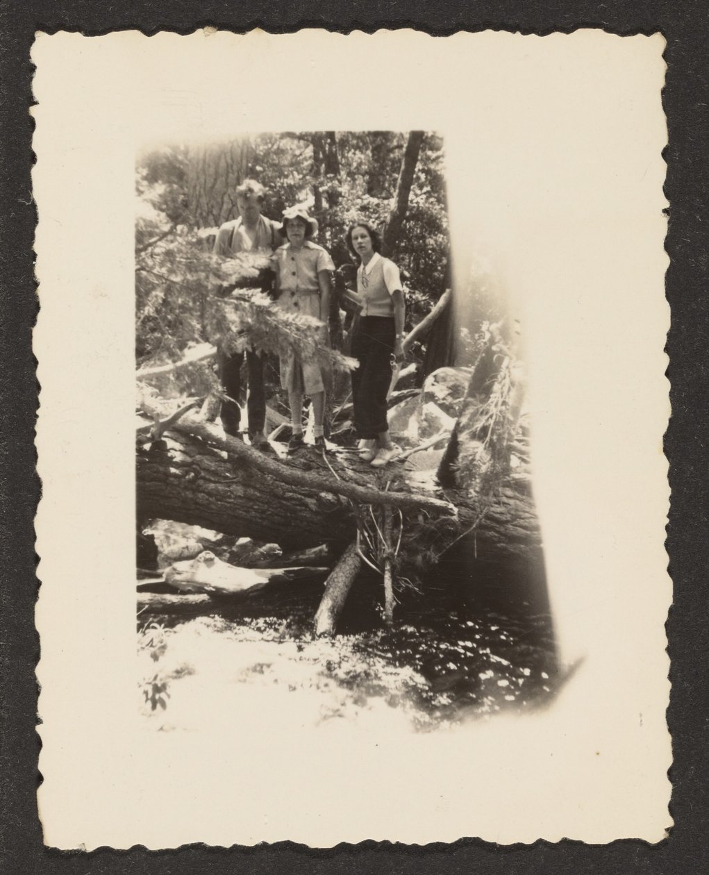 [Figuren in het bos]. door Louis Fleckenstein