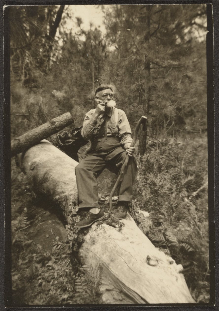 [Fleckenstein on a Log]. door Louis Fleckenstein