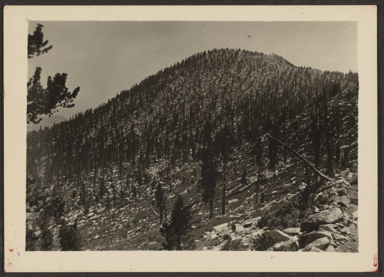 [Jean Peak from Trail]. door Louis Fleckenstein