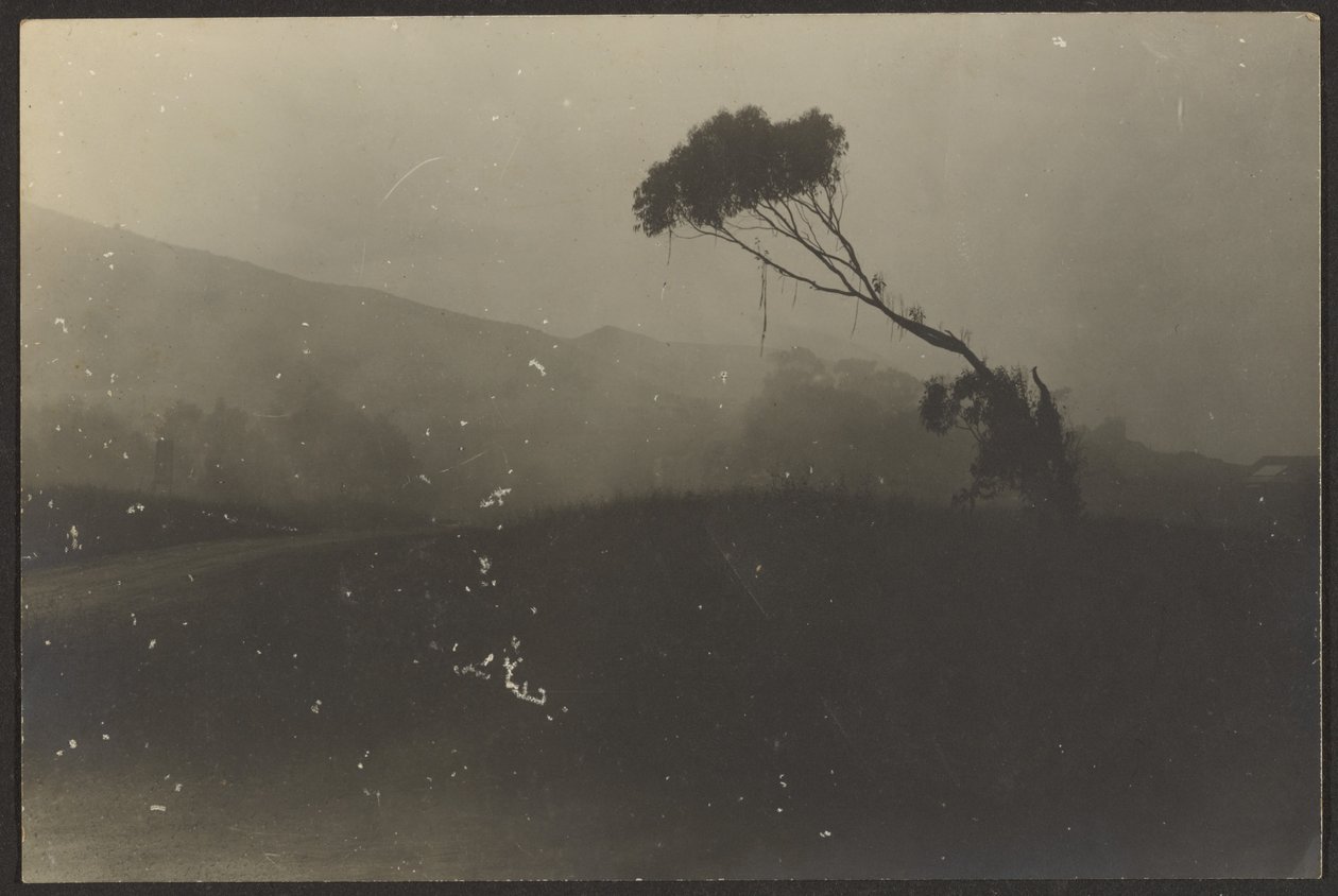 Laguna Strand door Louis Fleckenstein
